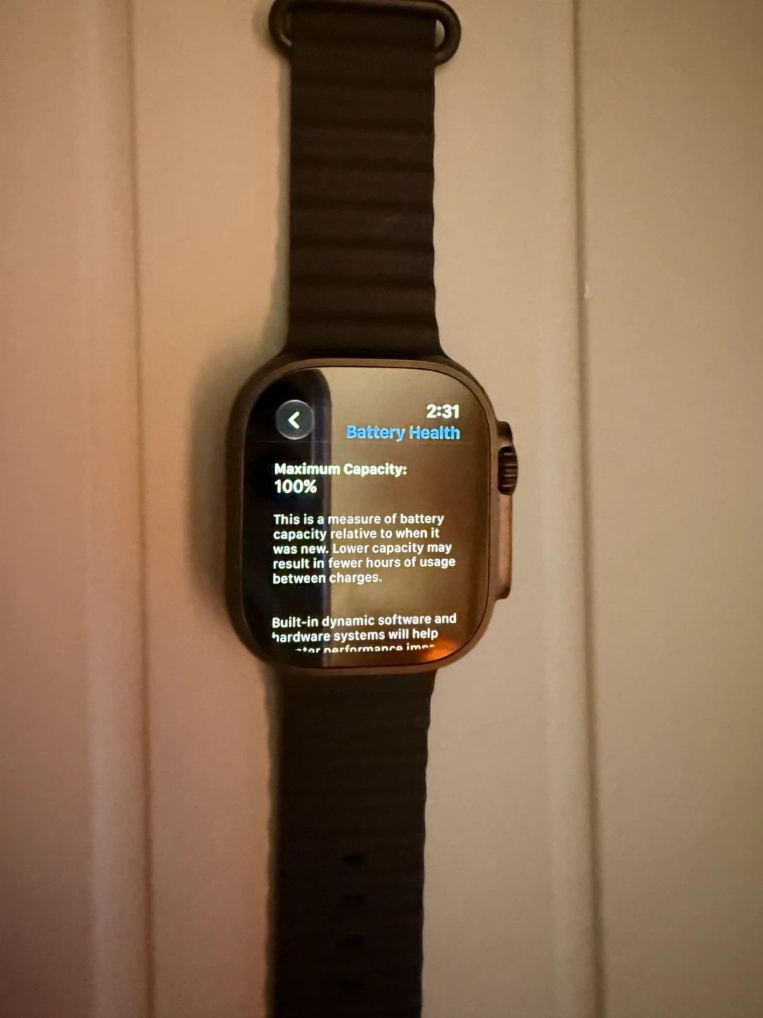 Apple Watch Ultra 2 w 64 gb - photo 3