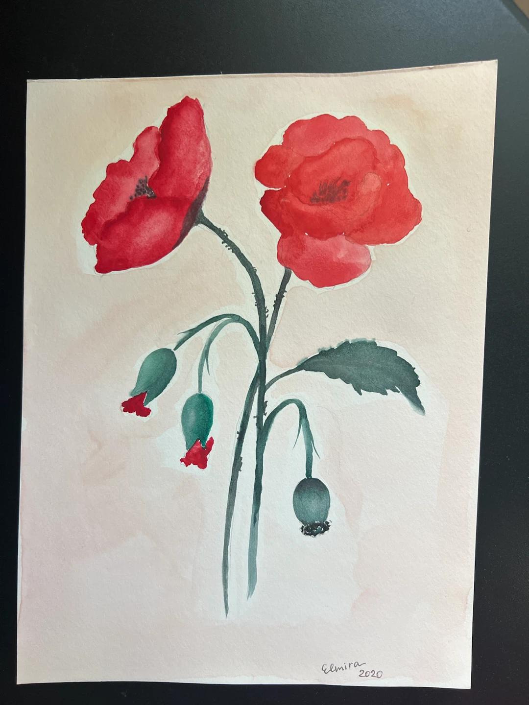 Original Watercolour Poppy Painting 2020