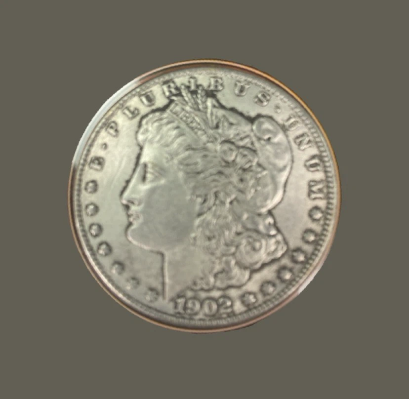 USA Morgan Dollar · 1902-S