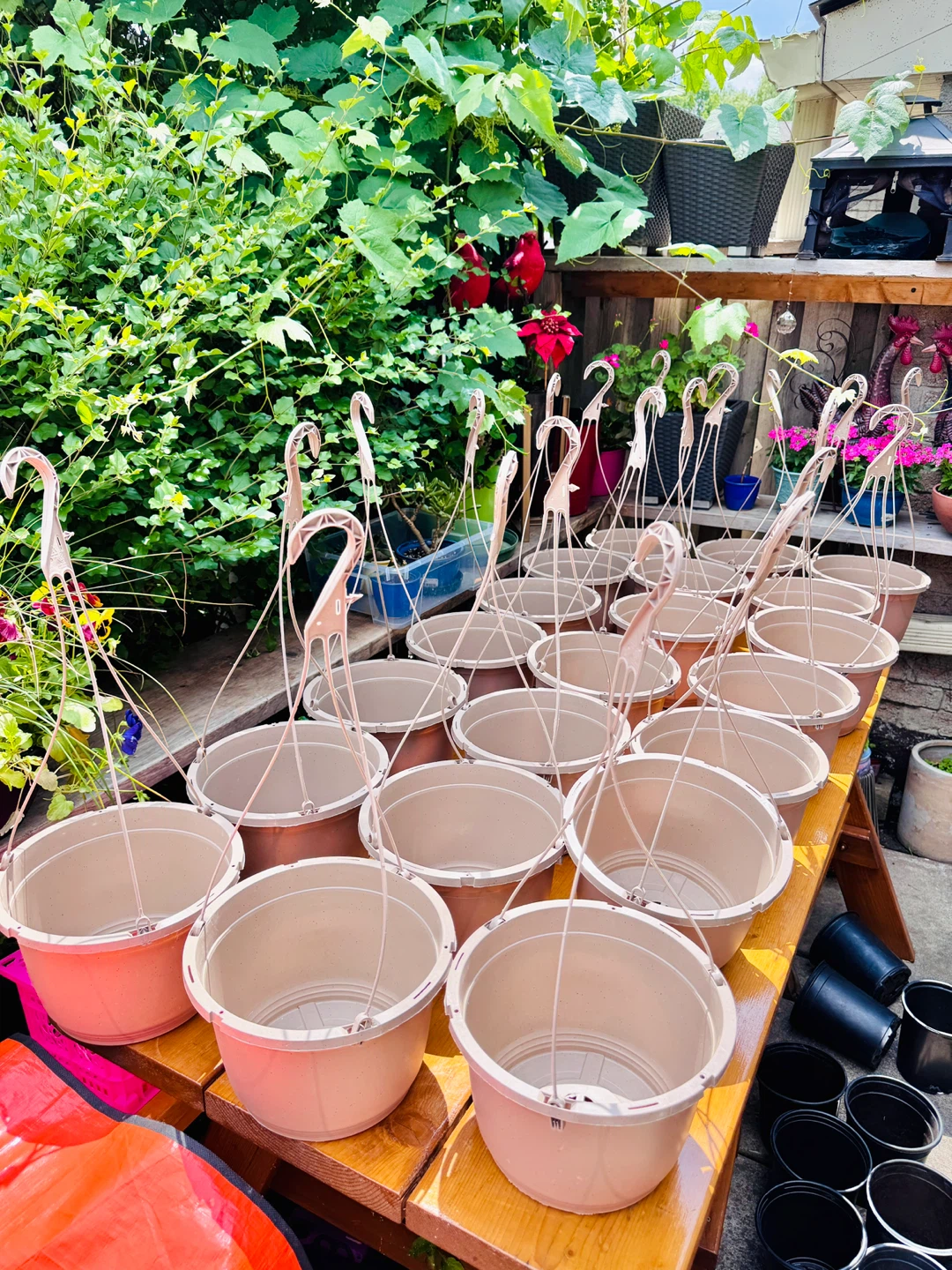 Hanging Baskets 9” diameter × 6.5” H (23” H overall)
