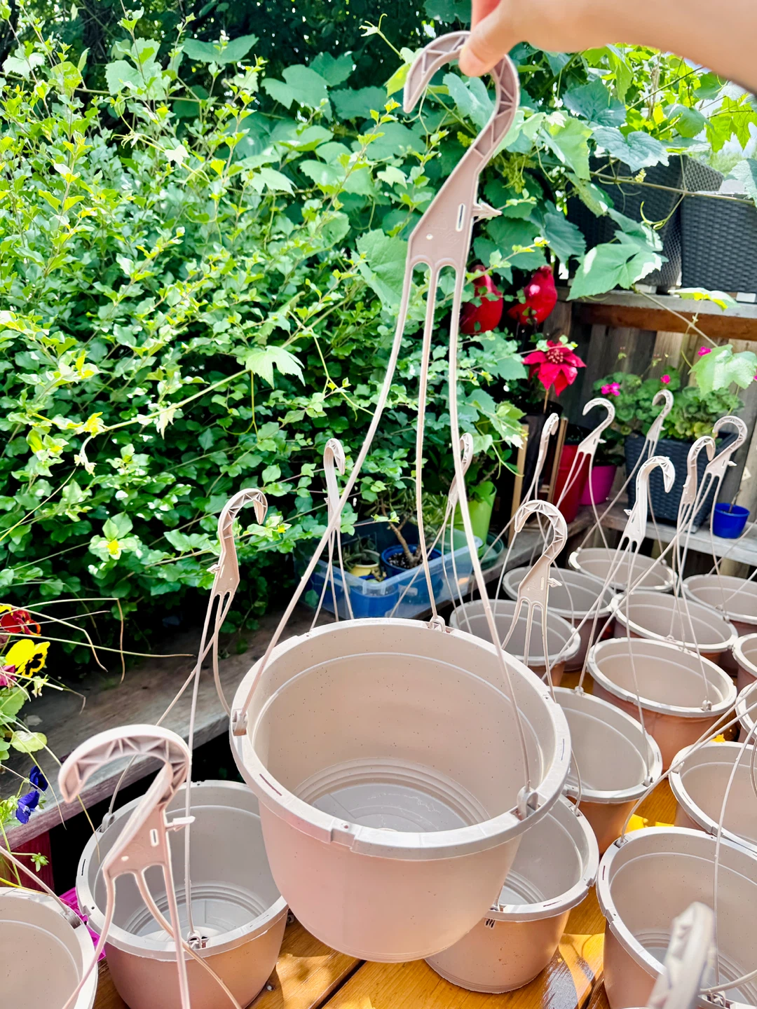 Hanging Baskets 9” diameter × 6.5” H (23” H overall) - photo 2