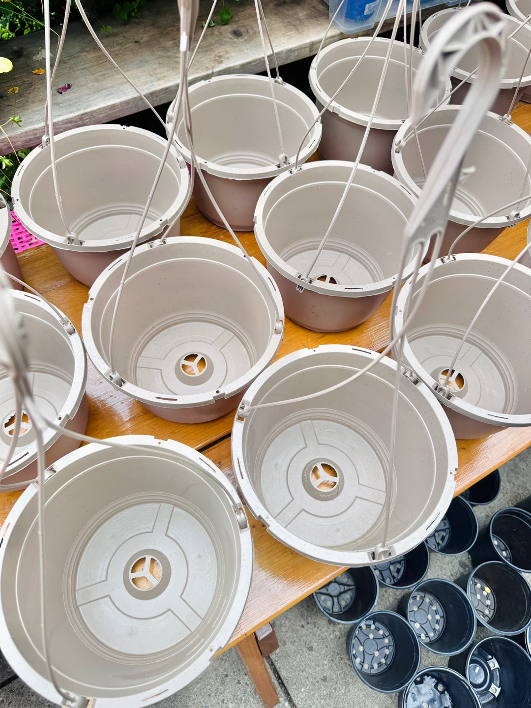 Hanging Baskets 9” diameter × 6.5” H (23” H overall) - photo 5
