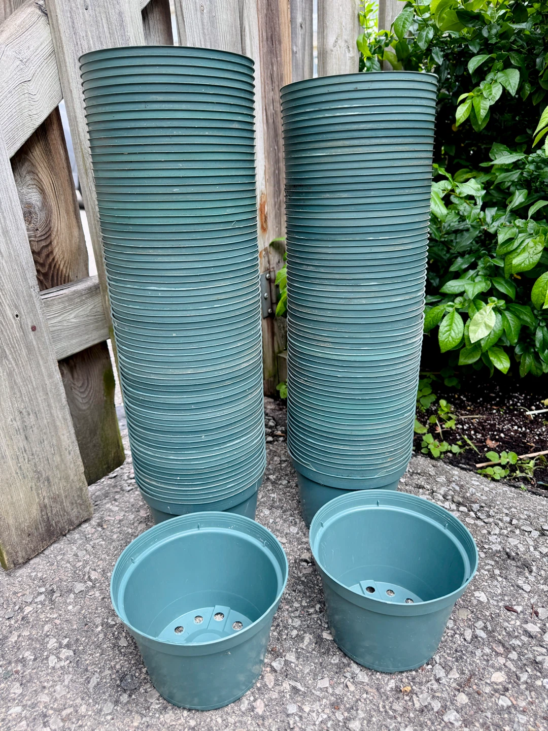 Nursery Pot 5.5” Inside Diameter (6.5” OutsideRim)×4.9” H