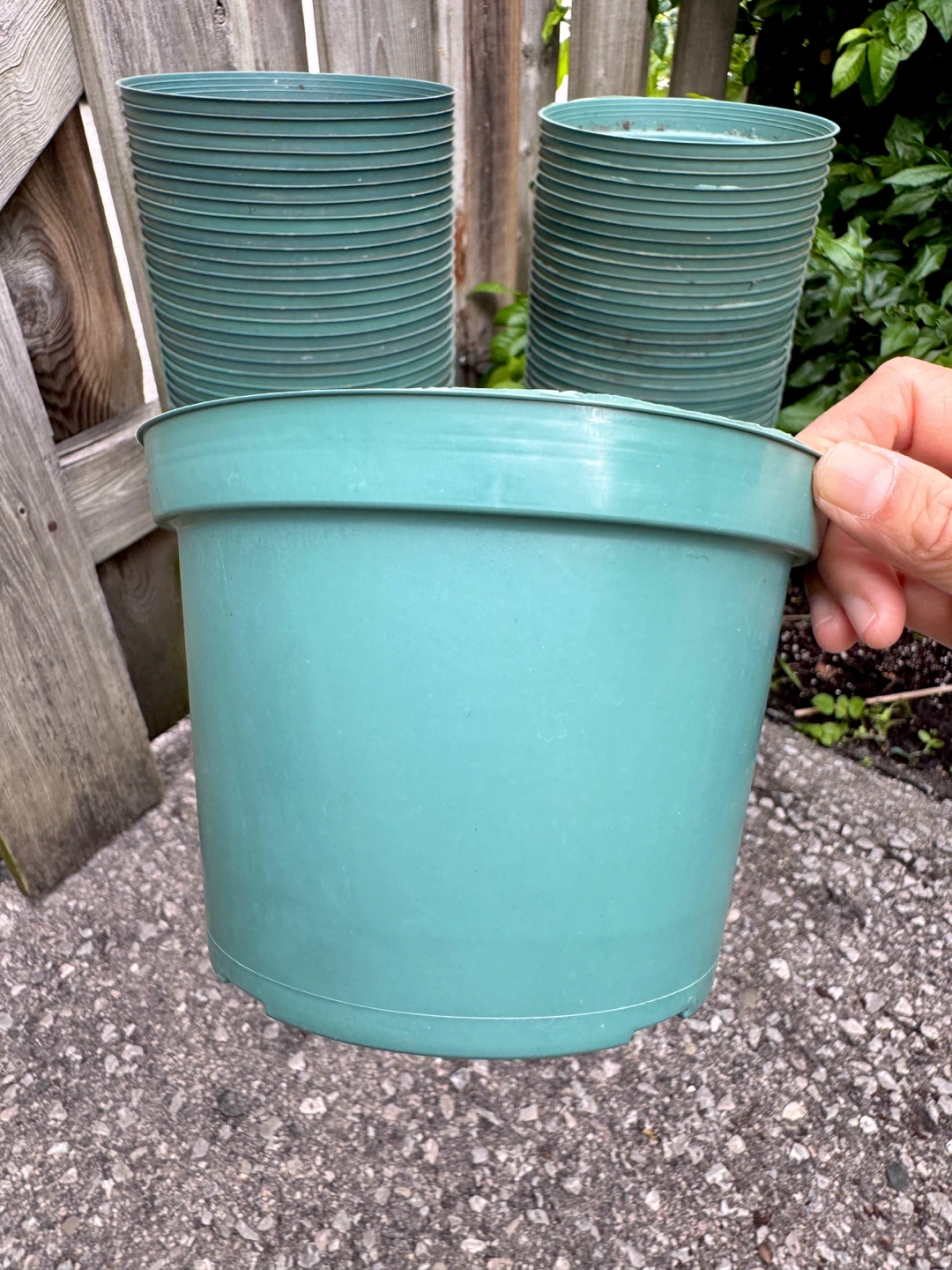 Nursery Pot 5.5” Inside Diameter (6.5” OutsideRim)×4.9” H - photo 5