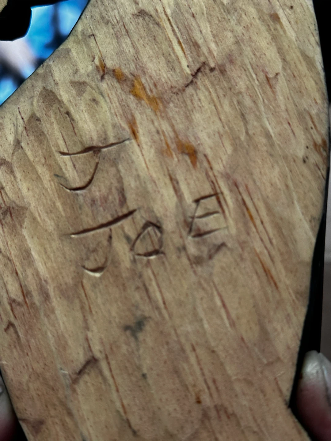 Pair of Coast Salish Salmon Carvings by J. Joe - photo 5