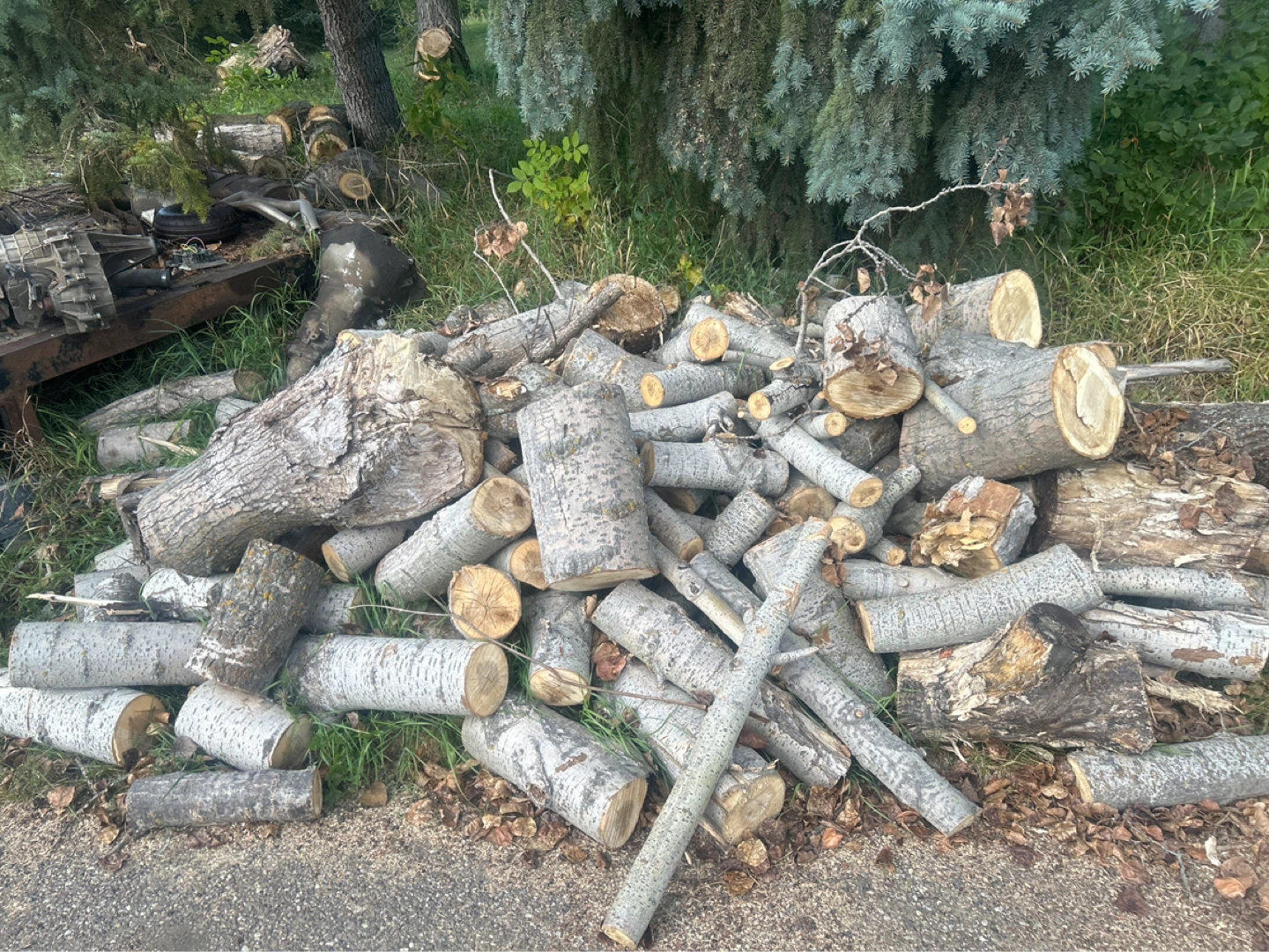 Assorted Cut Firewood Logs - photo 2