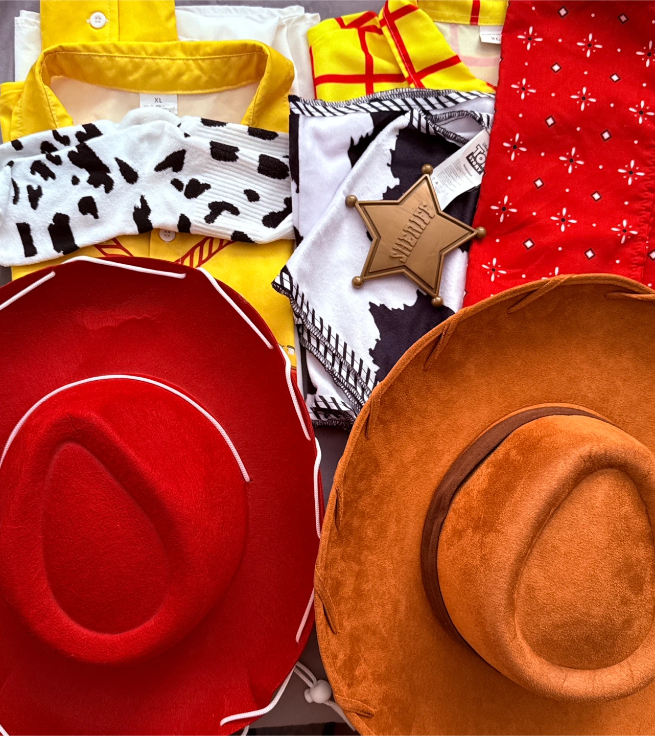 Toy Story Cowboy Woody & Jessie Halloween Costume - photo 2