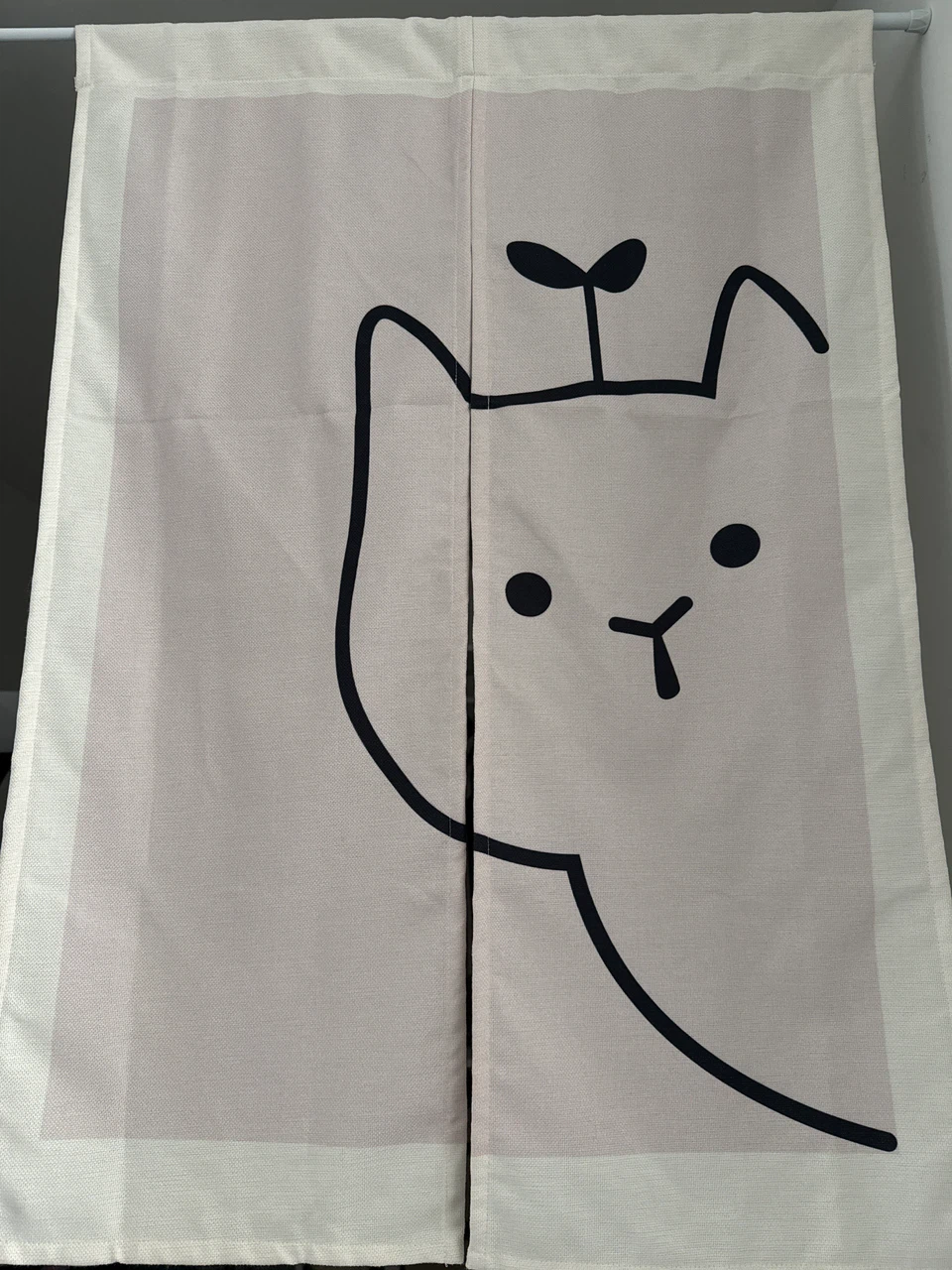 Door Curtain