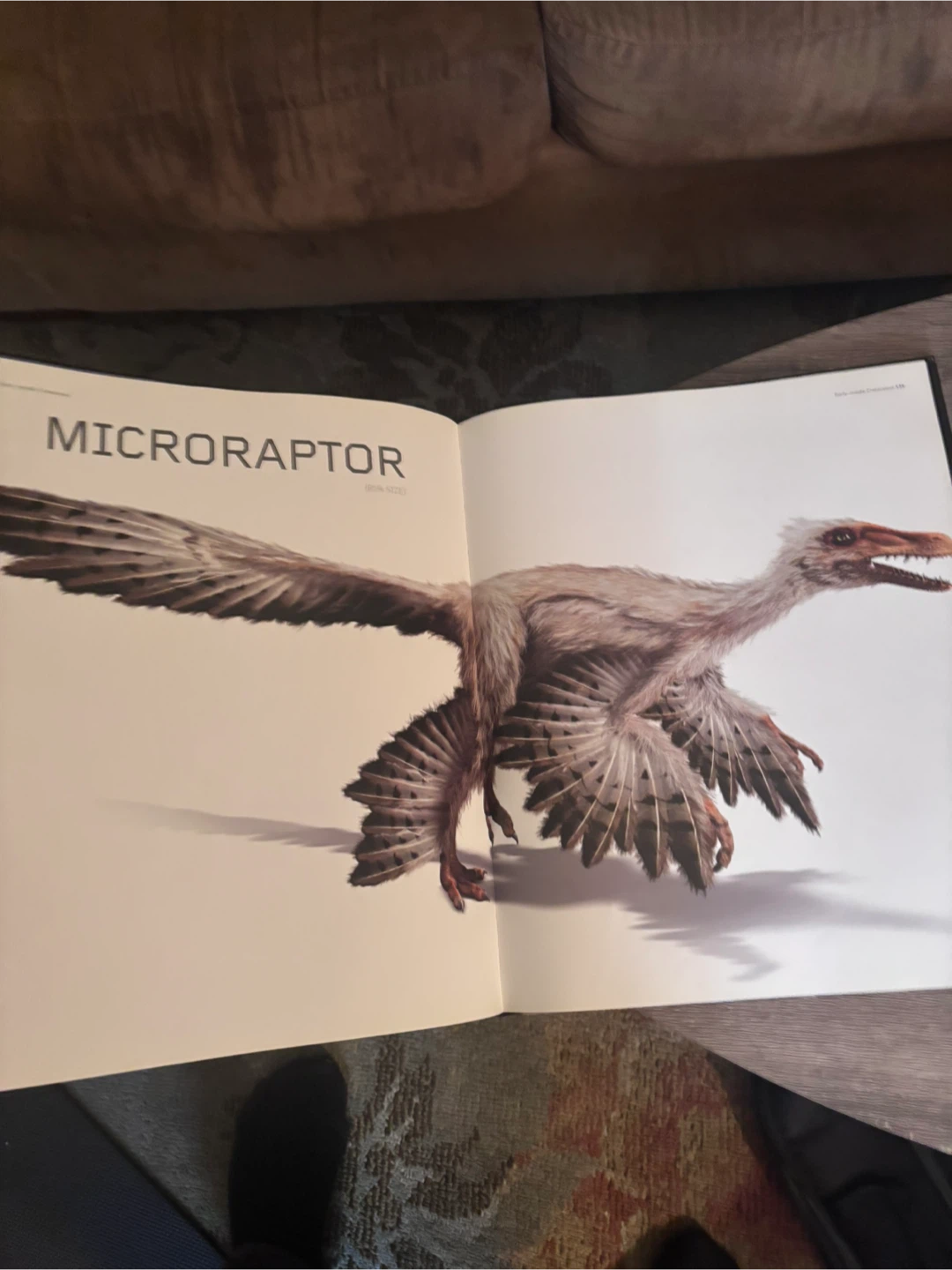 Dinosaurs by Steve Brusatte Hardcover Book - photo 2