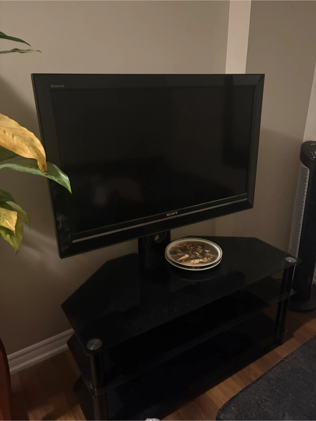 Sony Bravia TV with stand