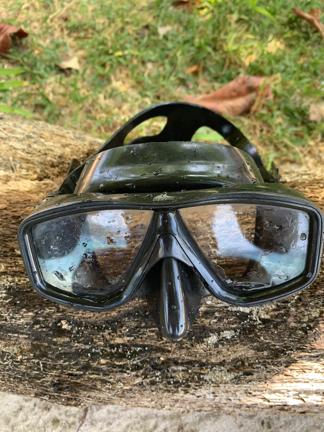 Deep Blue Snorkel Mask