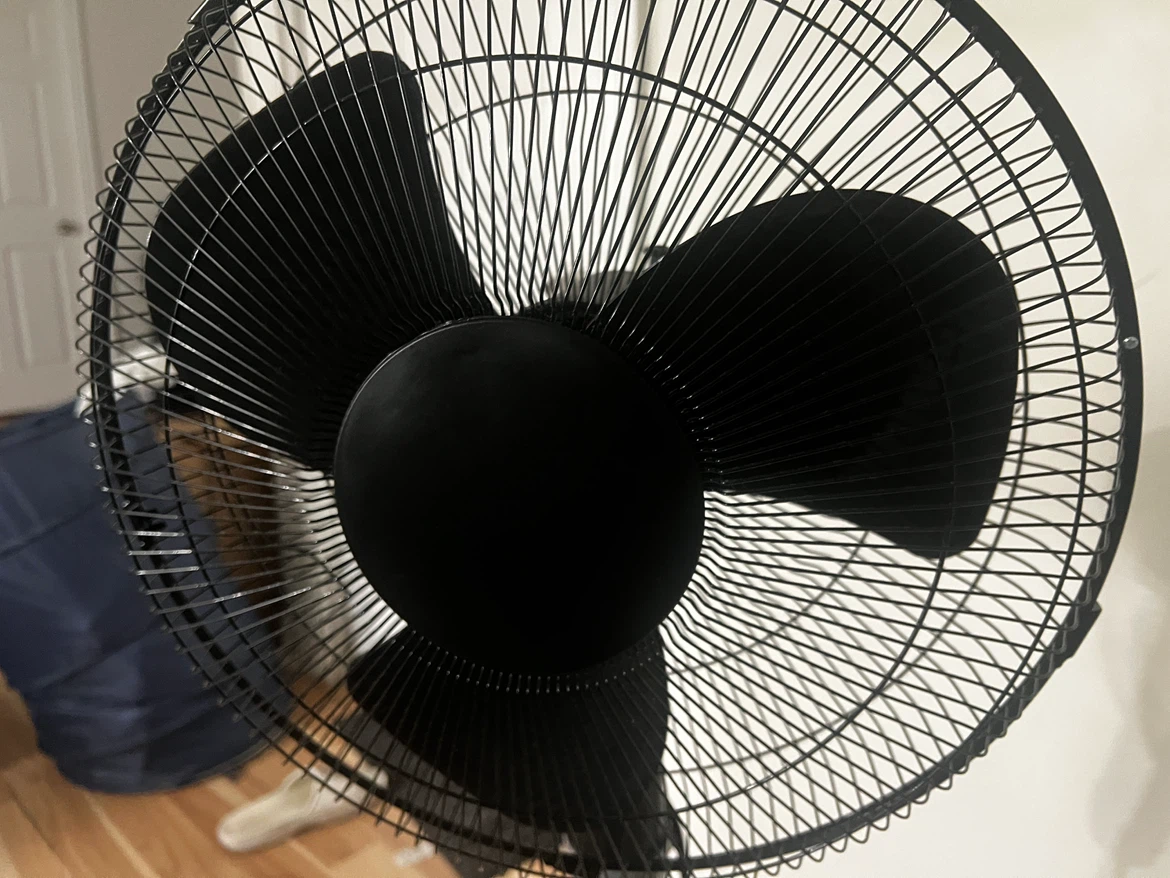 16-inch Black Pedestal Standing Fan