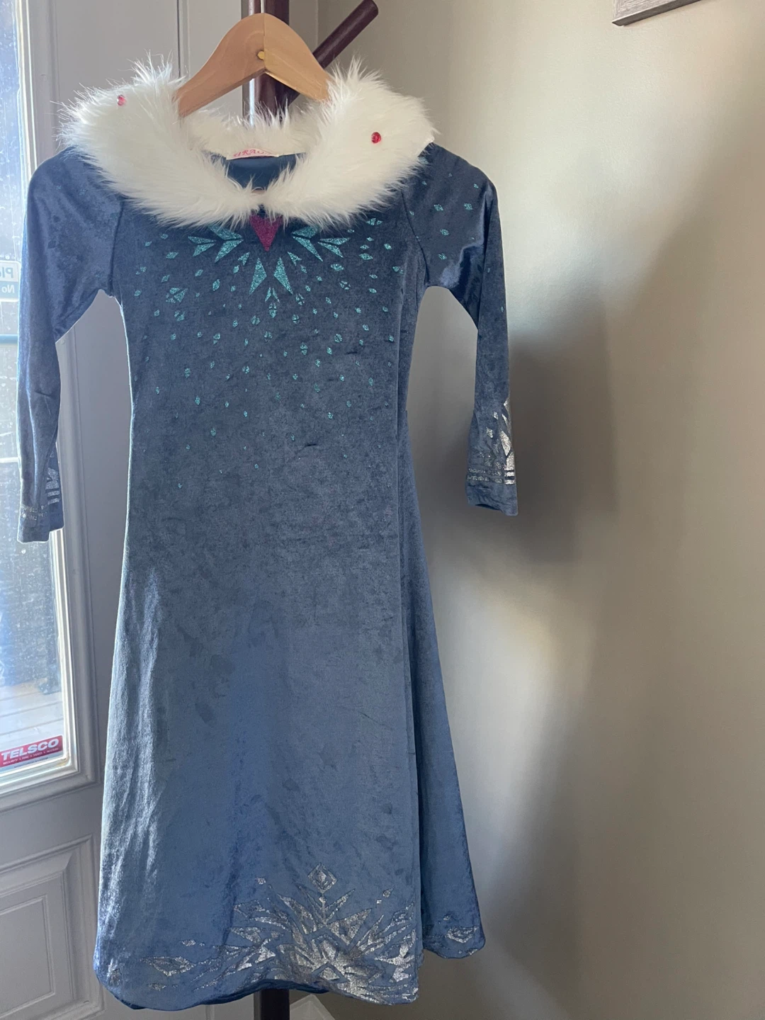 Disney Frozen Elsa Costume