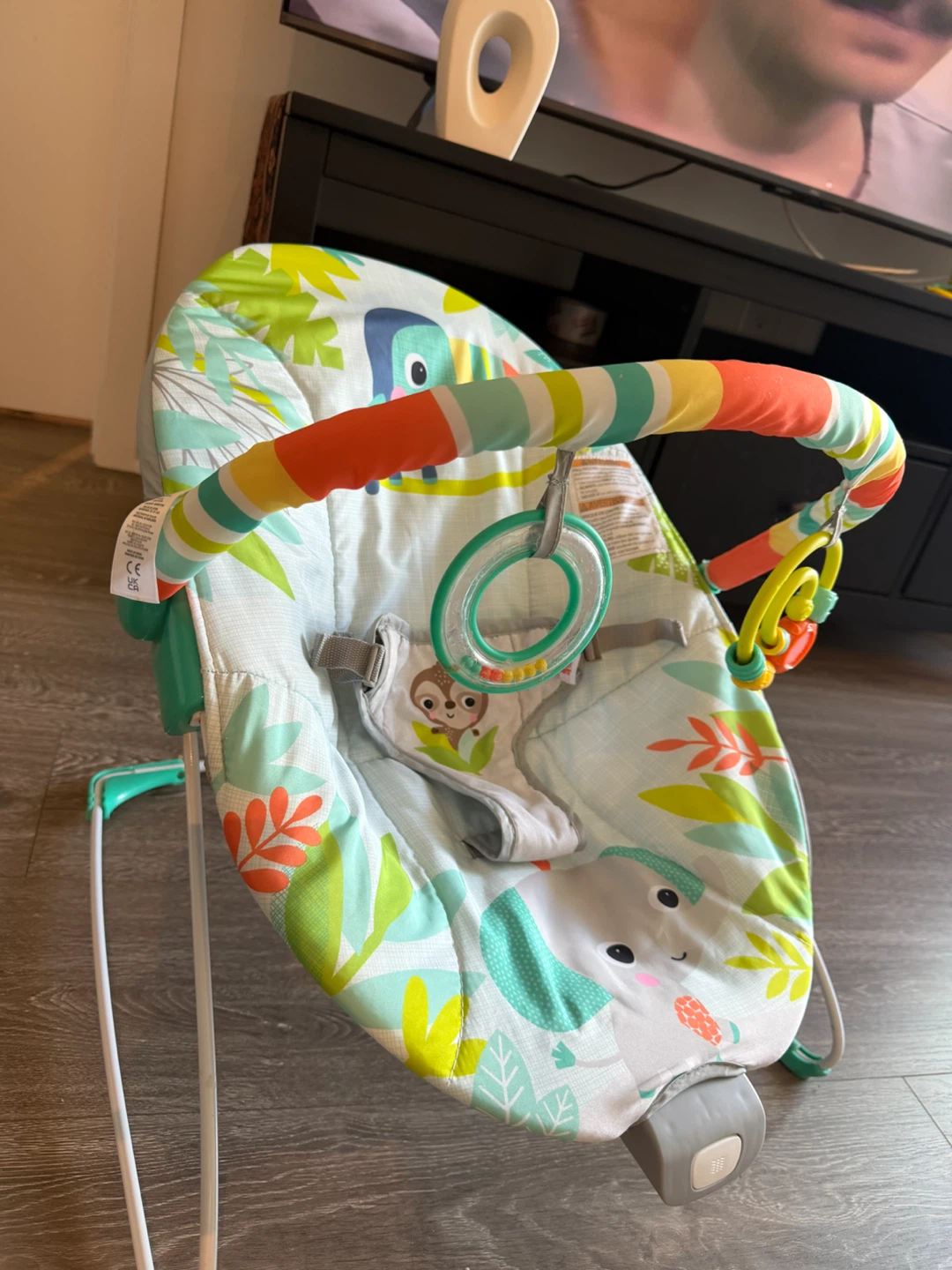 Fisher-Price Baby Bouncer