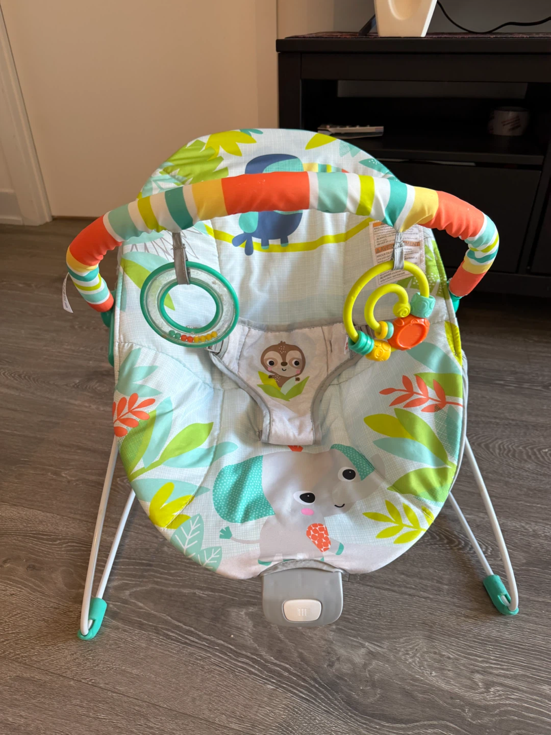 Fisher-Price Baby Bouncer - photo 2
