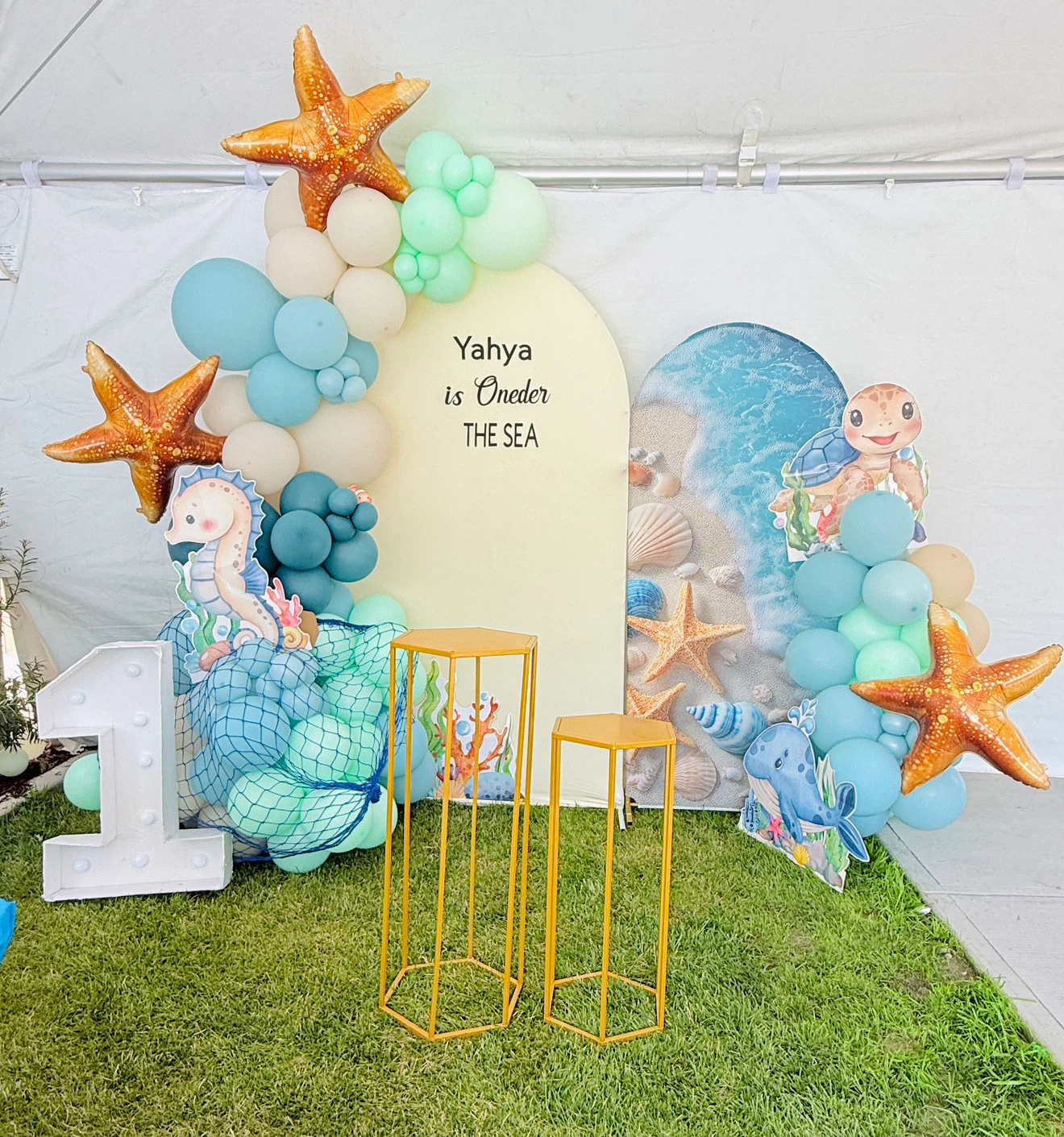 Book any kind of balloon decoration