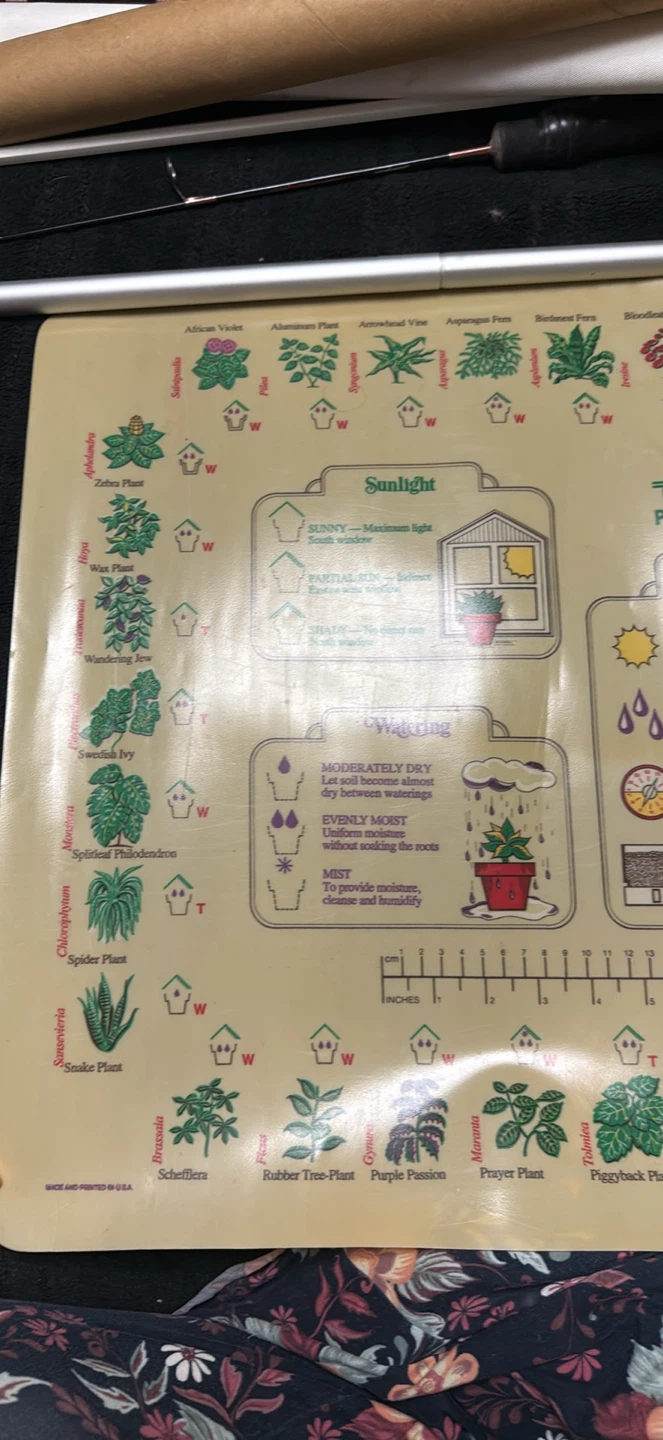 Vintage 1977 Tuppercraft Plant Care Sheet Poster - photo 2