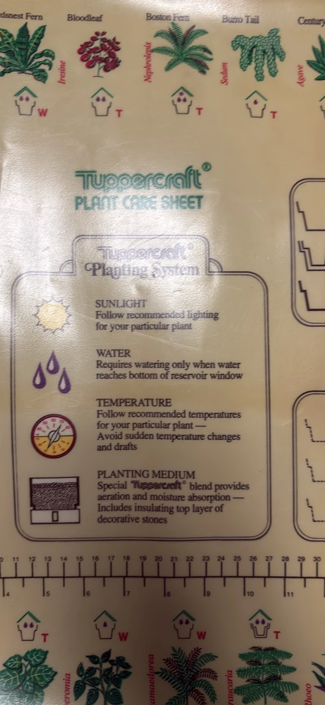Vintage 1977 Tuppercraft Plant Care Sheet Poster - photo 3
