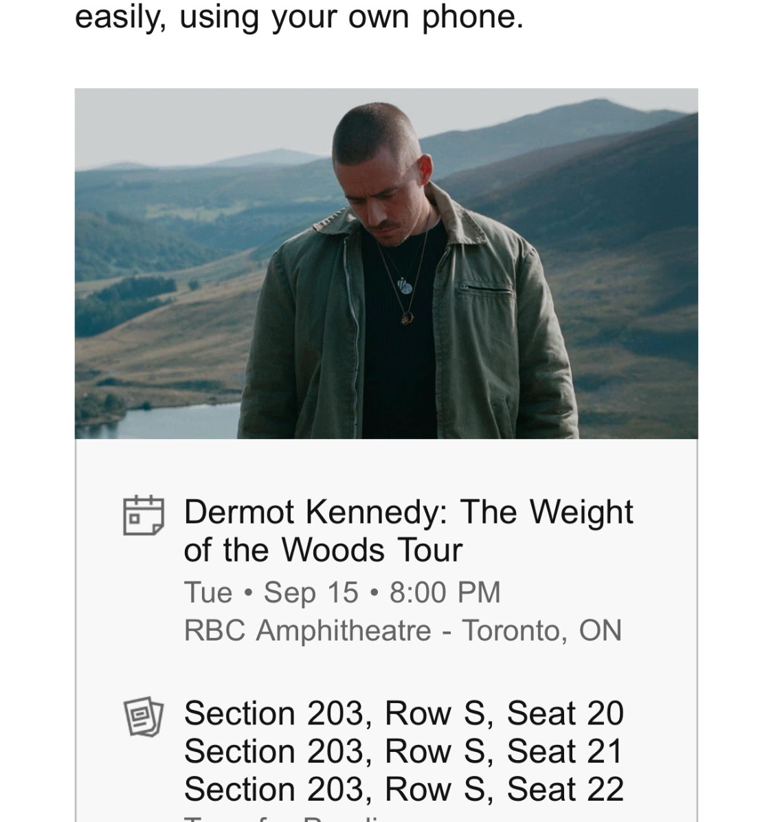 Dermot Kennedy 3 Tickets for Tonight - photo 2