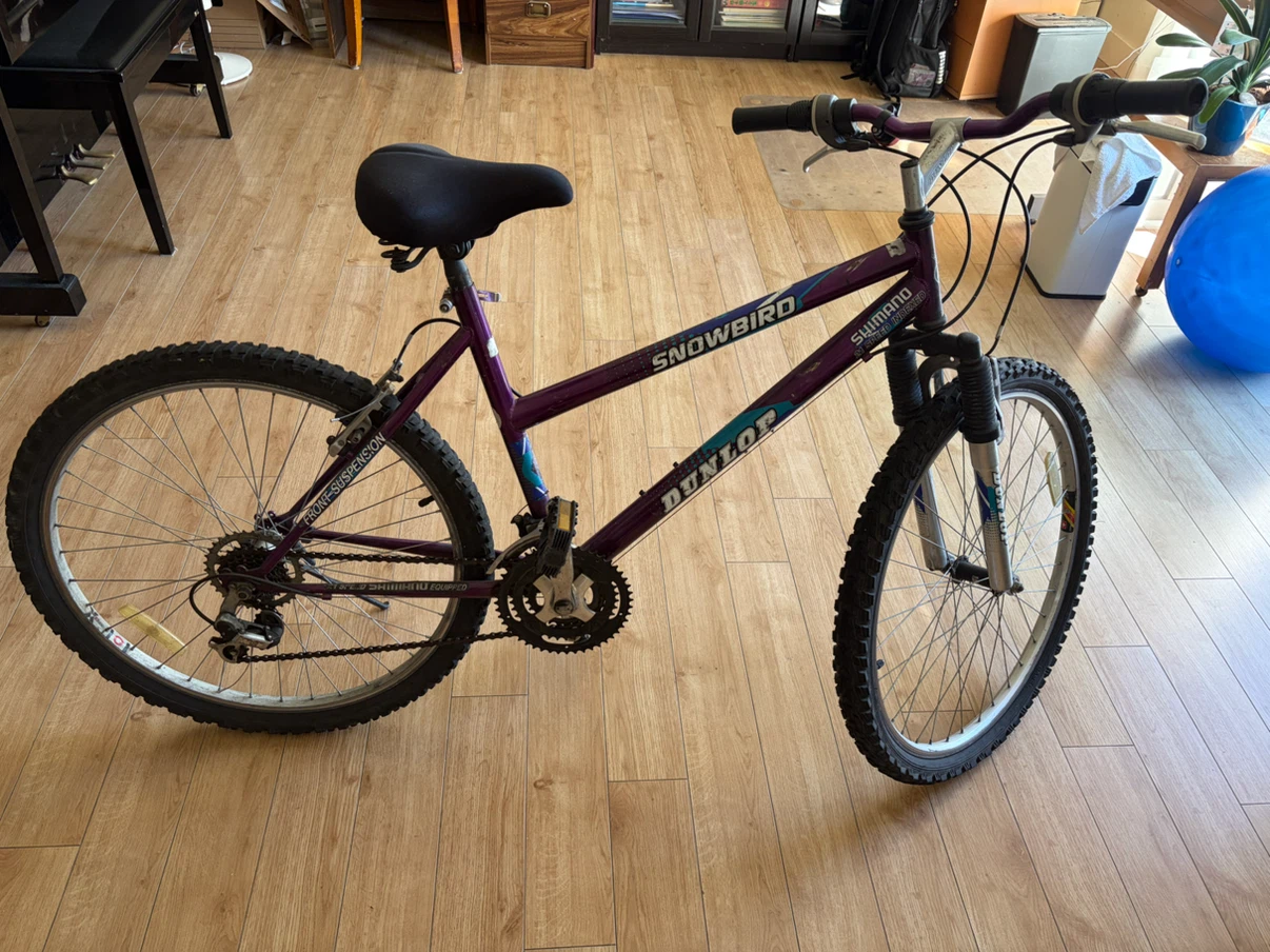 Dunlop Snowbird Mountain Bike
