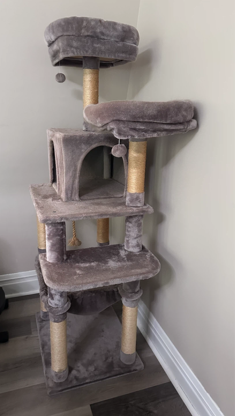 Large Multi-Level Cat Tree