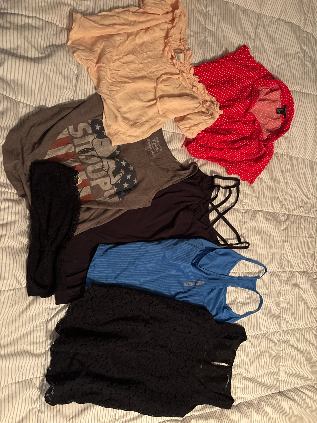 Lot of 6 Women's Tops