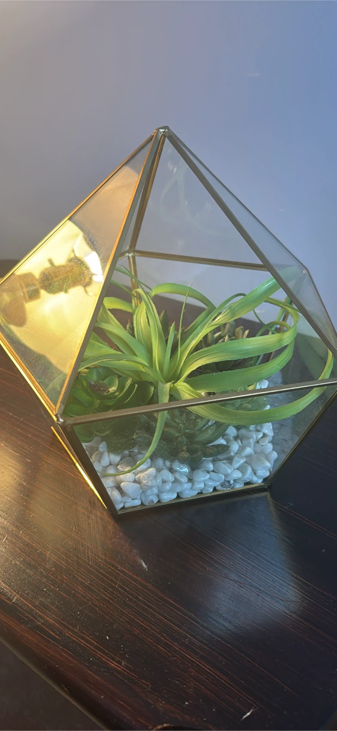 Geometric Glass Terrarium with Faux Succulents