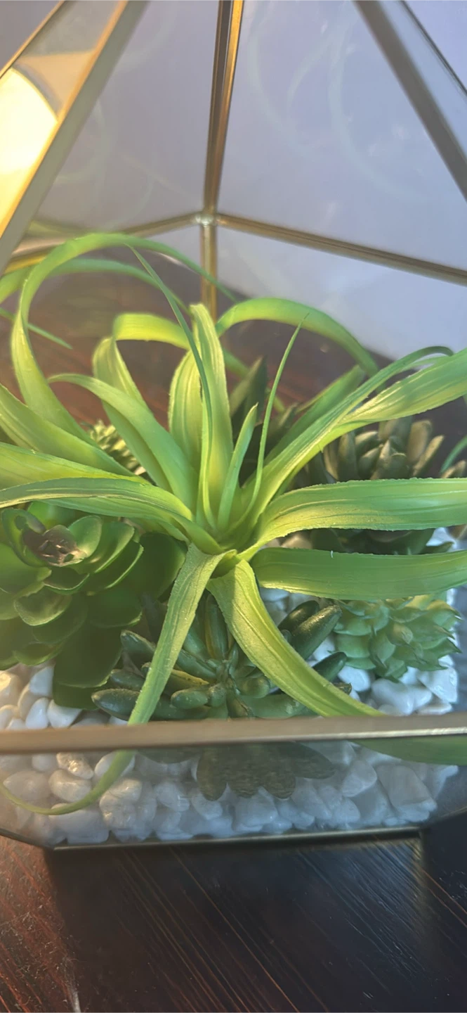Geometric Glass Terrarium with Faux Succulents - photo 2