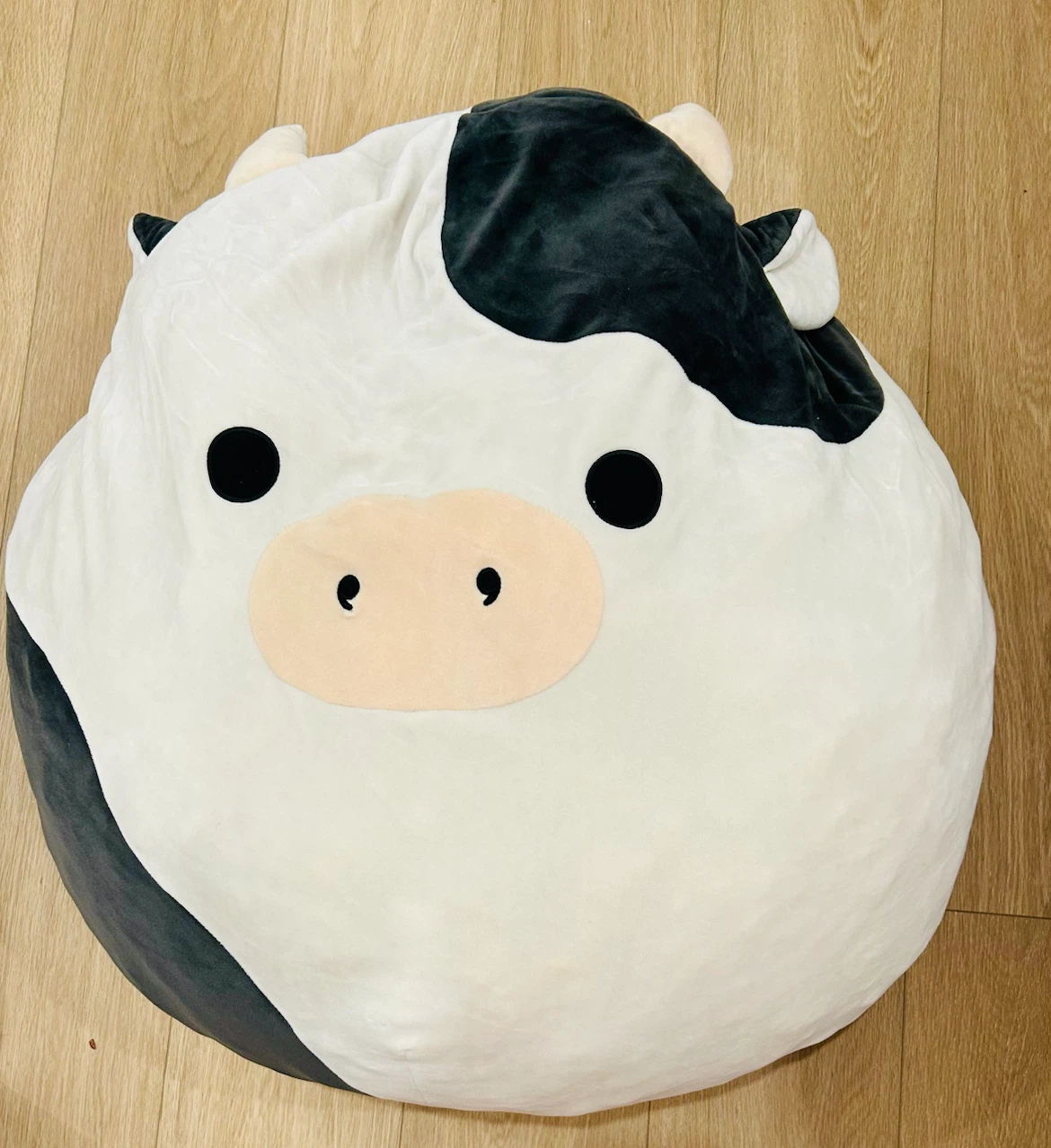 Squishmallows Connor Cow