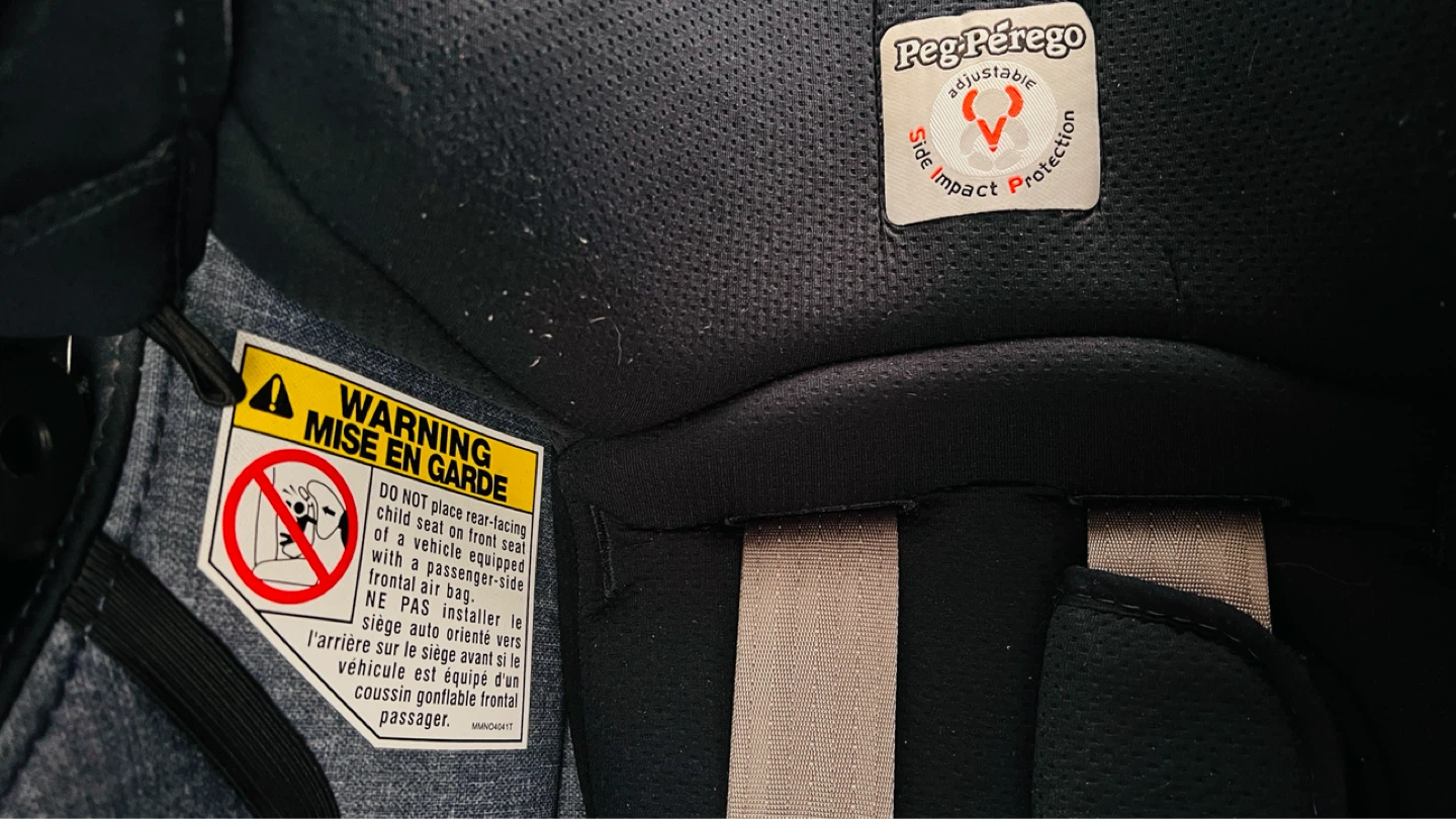 Peg Perego Primo Viaggio 4-35 Infant Car Seat - photo 4