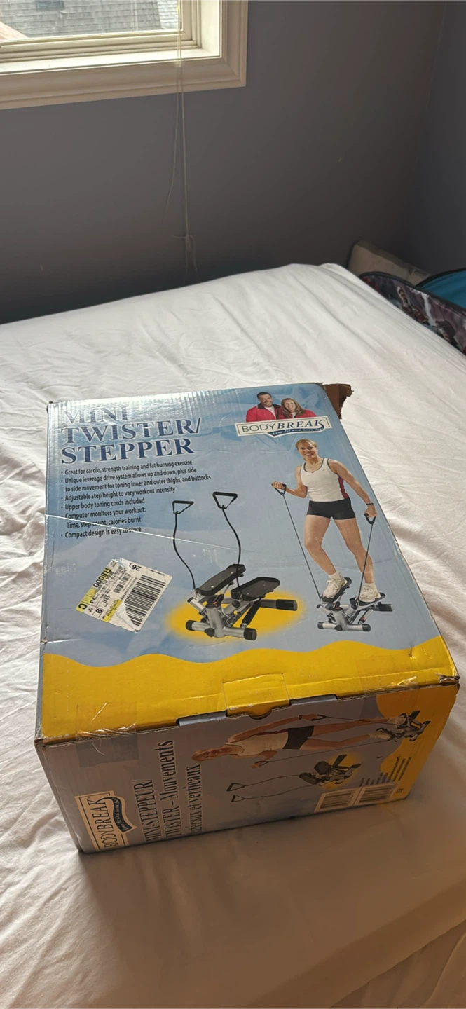 BodyBreak Mini Twister Stepper