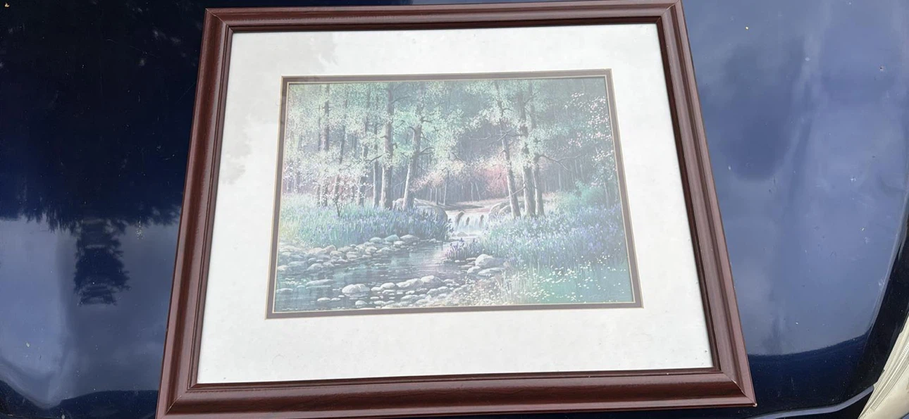 Framed Forest Stream Landscape Print