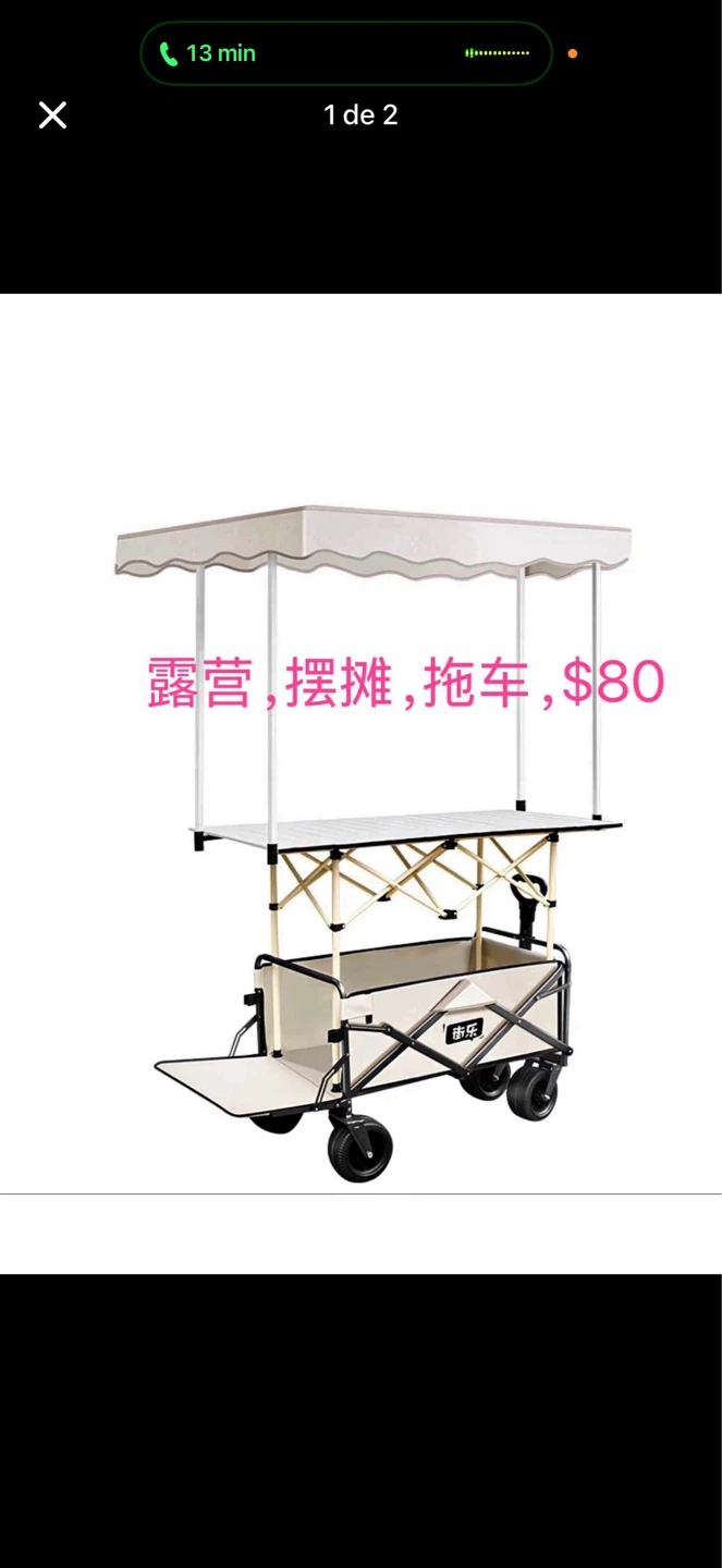 Collapsible Outdoor Utility Wagon with Canopy