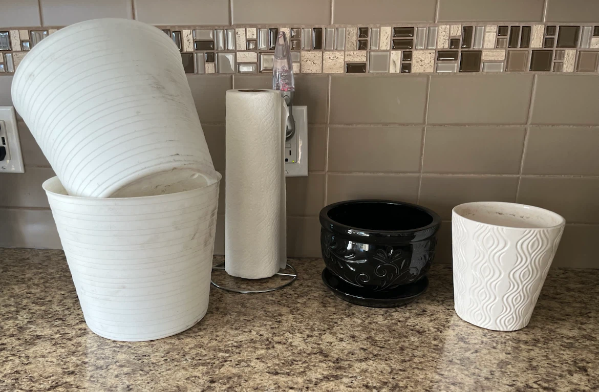 2 Ceramic Plant Pots and 2 plastic pots