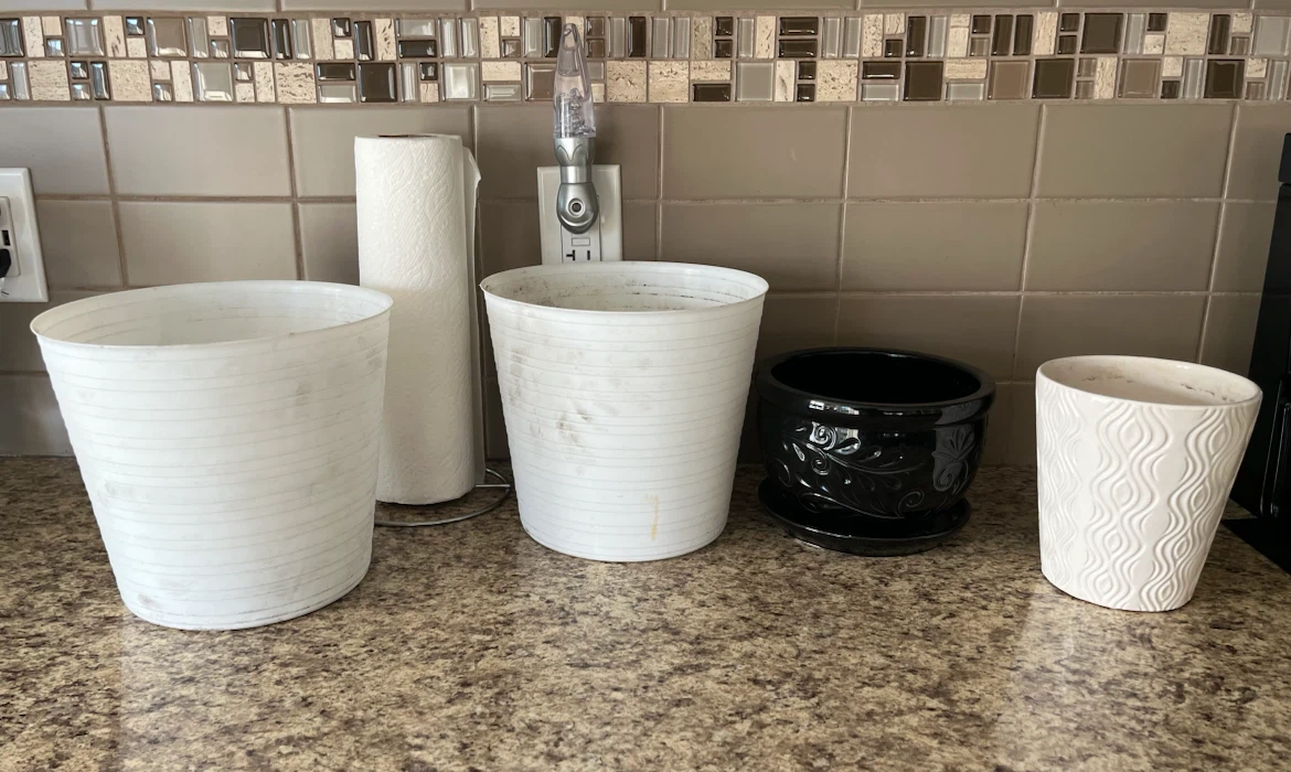 2 Ceramic Plant Pots and 2 plastic pots - photo 2