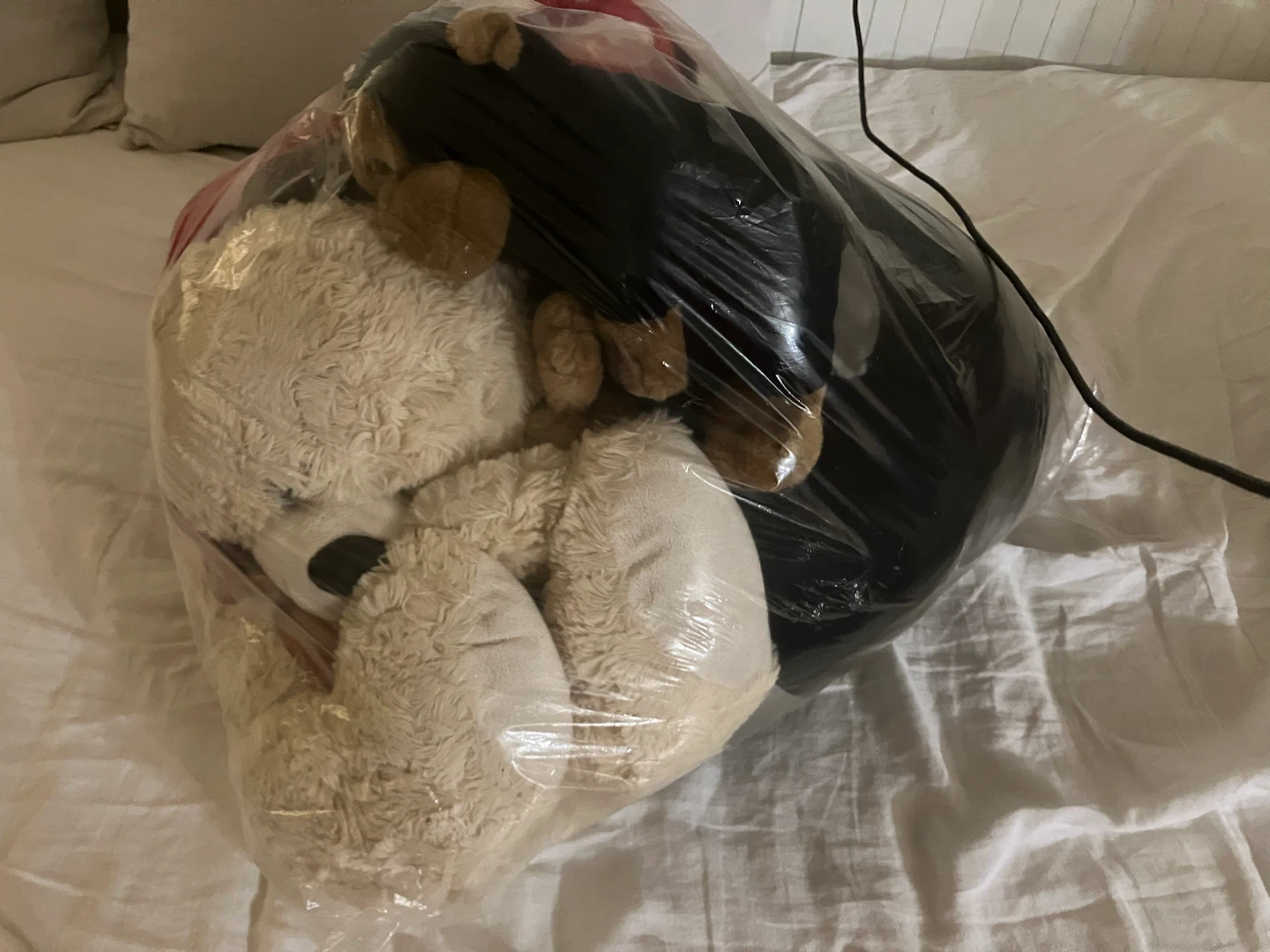 A bag of stuffed animals