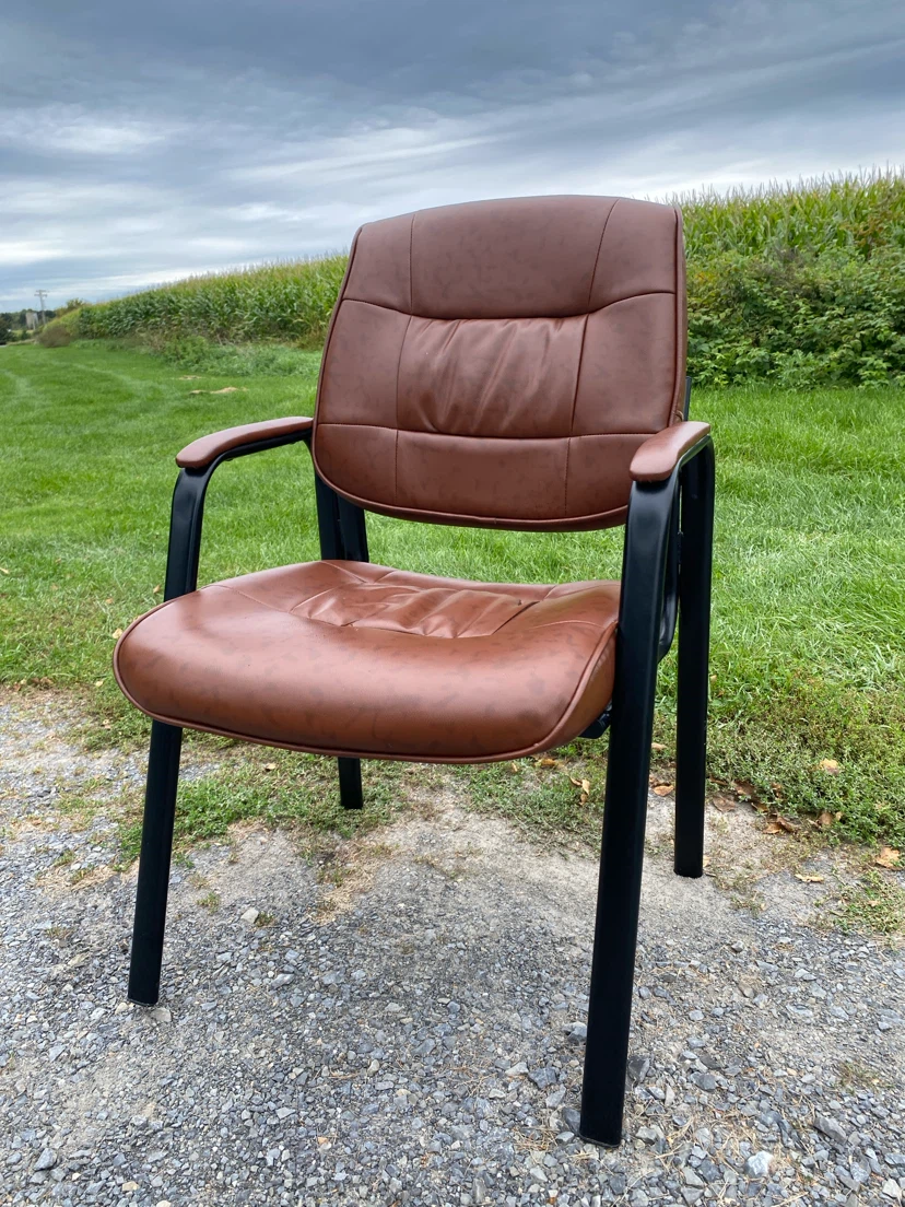 BTExpert Brown Executive Guest / Conference Chair