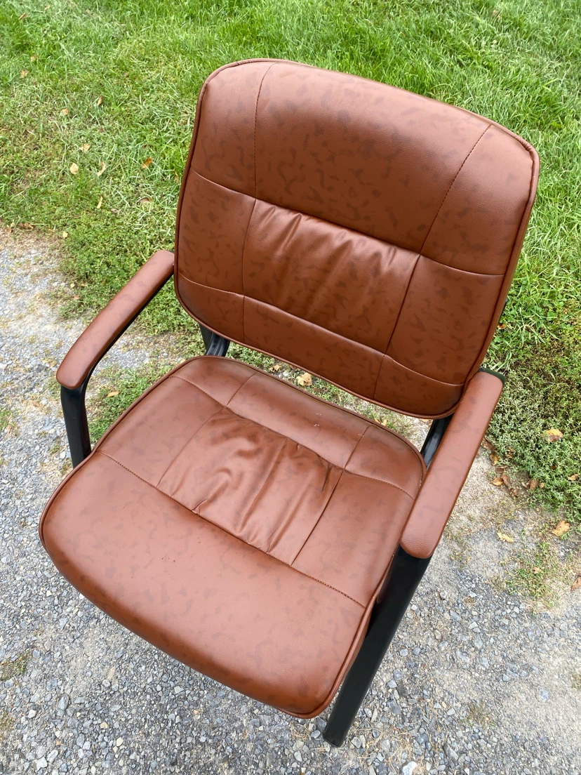 BTExpert Brown Executive Guest / Conference Chair - photo 3