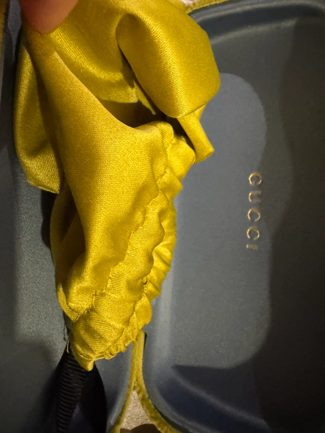 Gucci Eyewear Case and Pouch