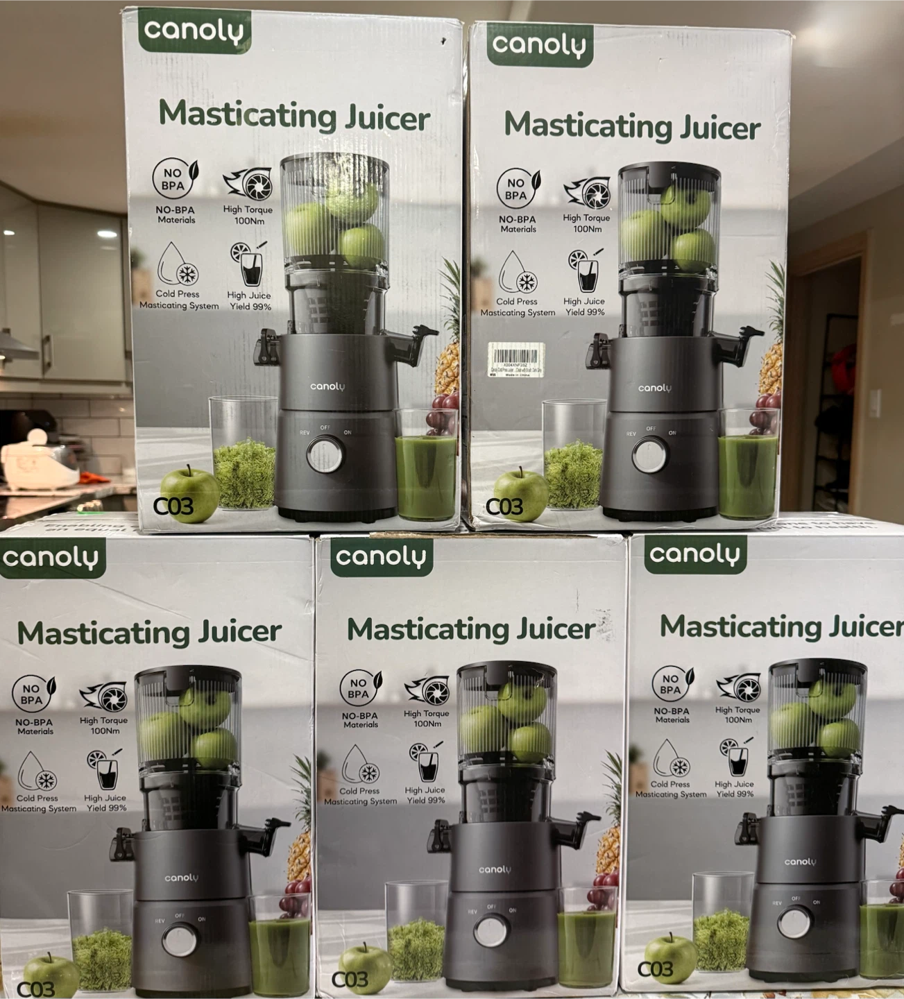 Canoly C03 Masticating Juicer - photo 4