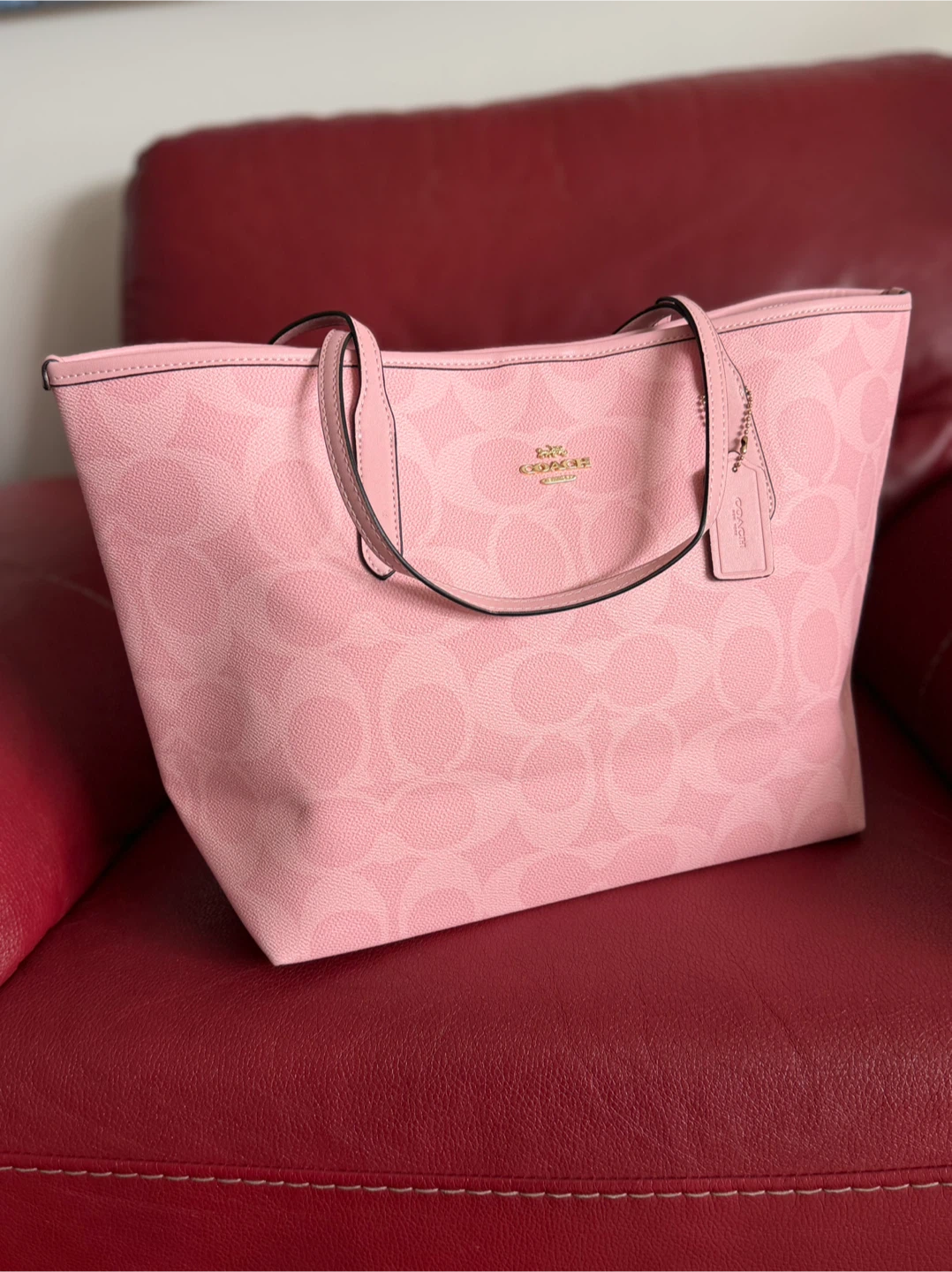 Coach Signature Print Tote Bag in Pink