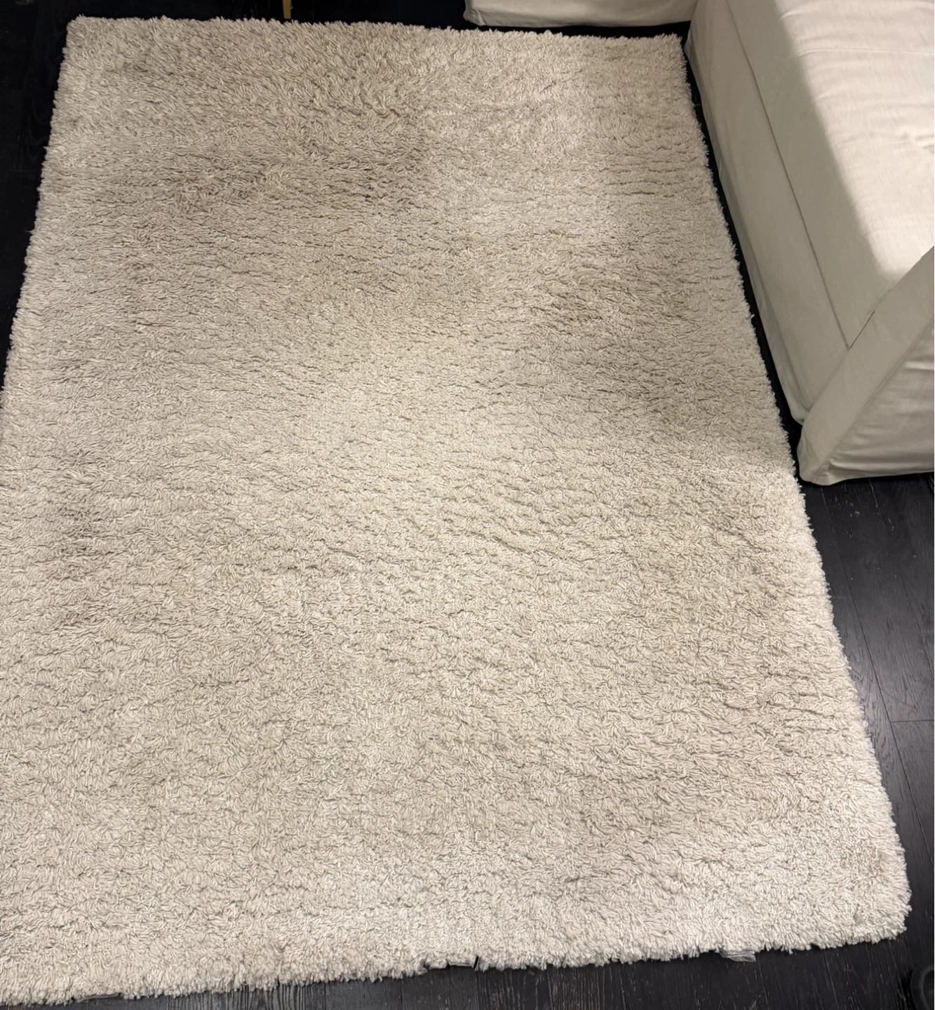 Cream/grey Area Rug