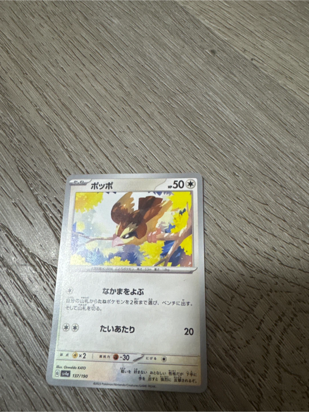 Pokemon Card Pidgey Japanese SV4a 137/190