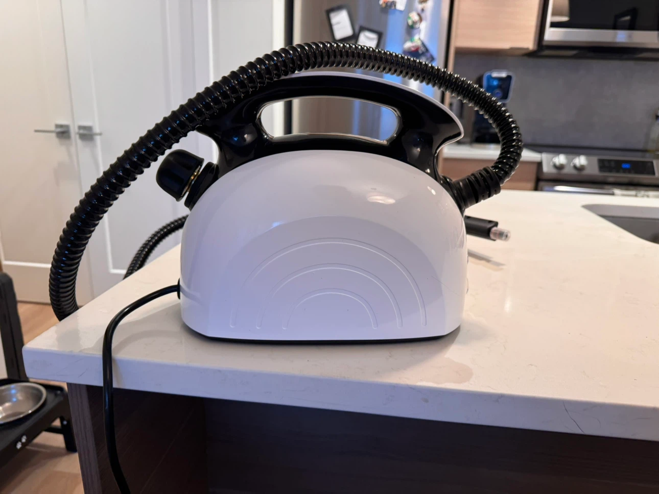 New Waitbird Steam Cleaner - photo 2