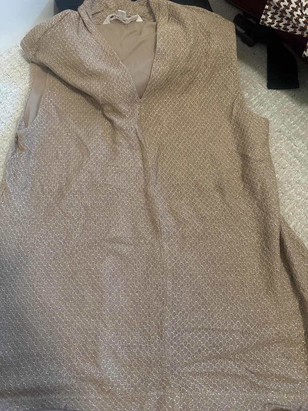 Cleo Gold Shimmer Sleeveless Top