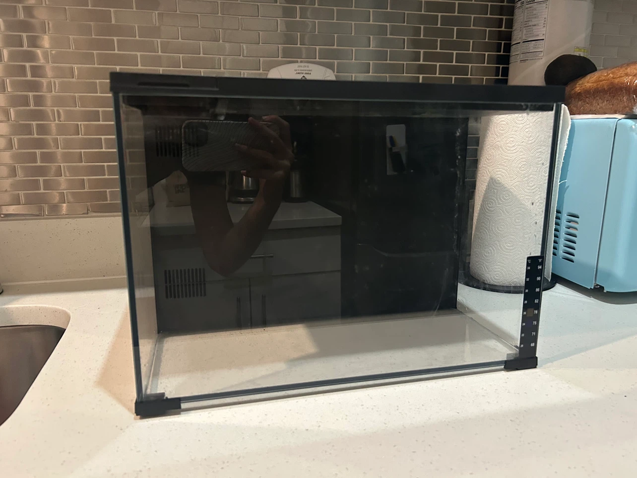 Aquarium with Accessories