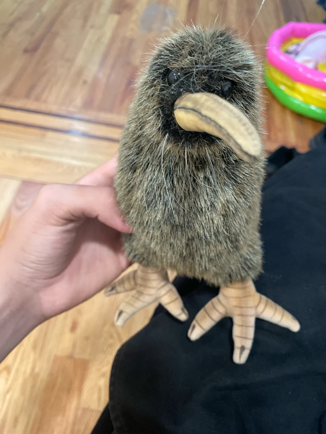Hansa Kiwi Bird Plush