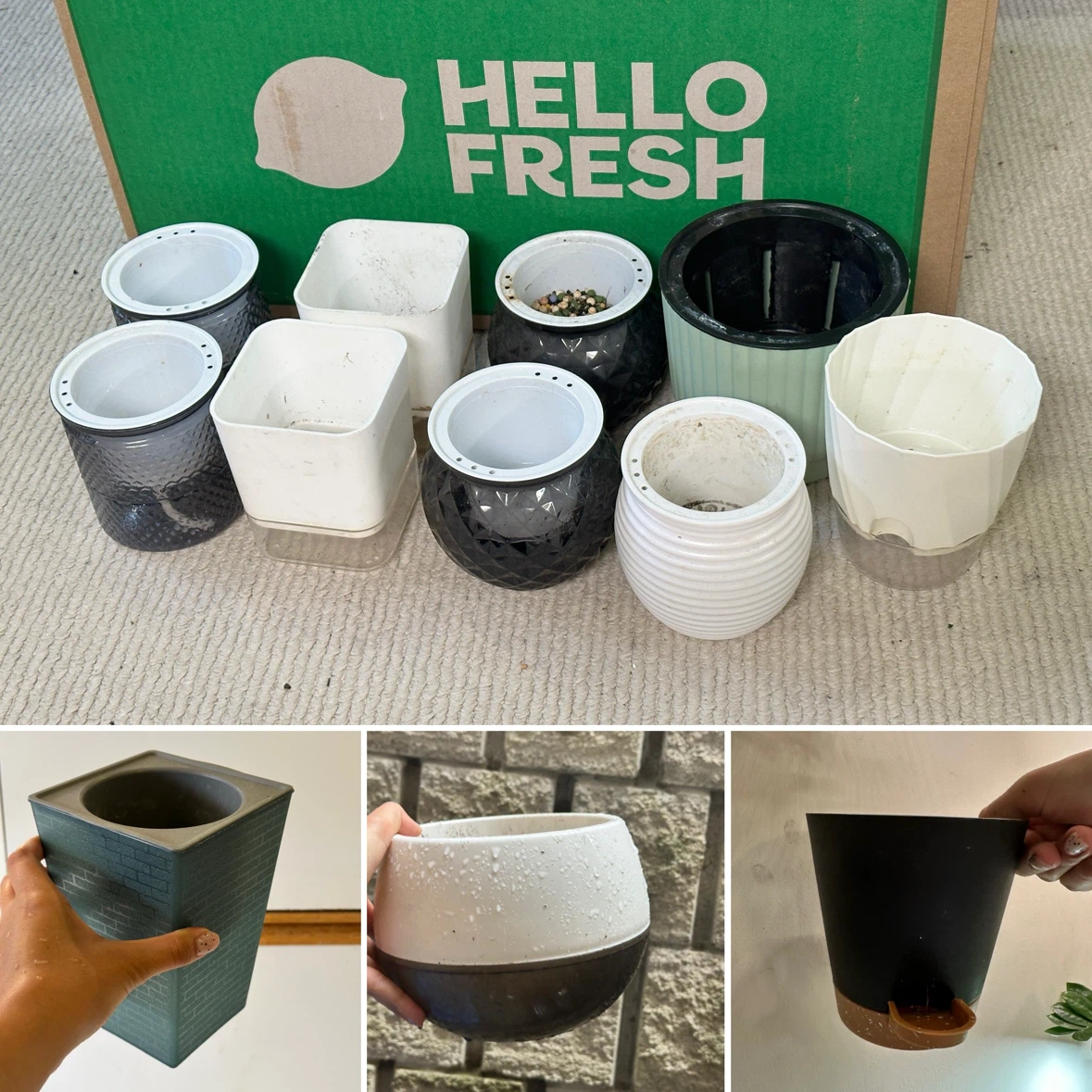 Self Watering Planter Bundle x12