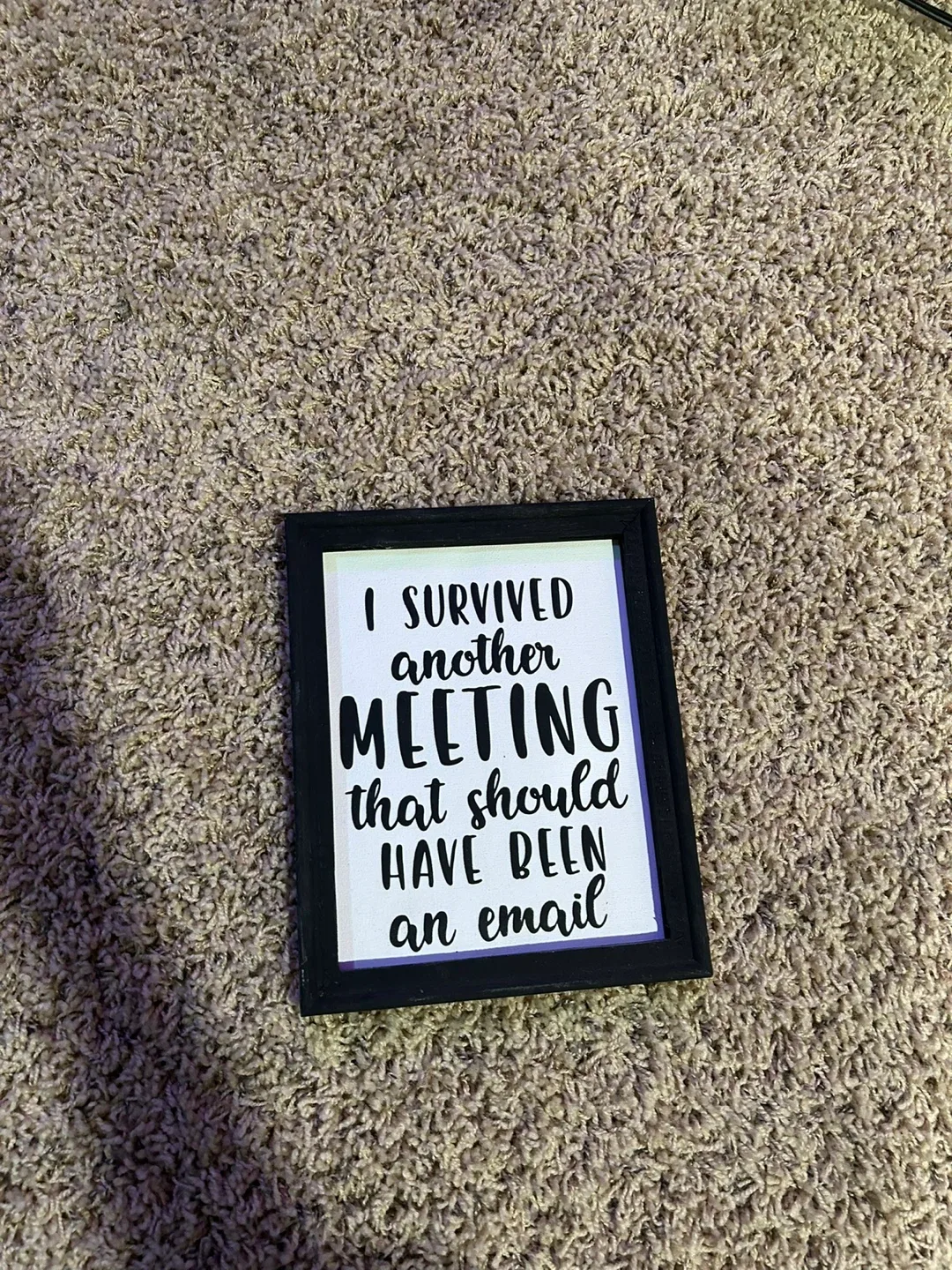 I Survived Another Meeting Sign