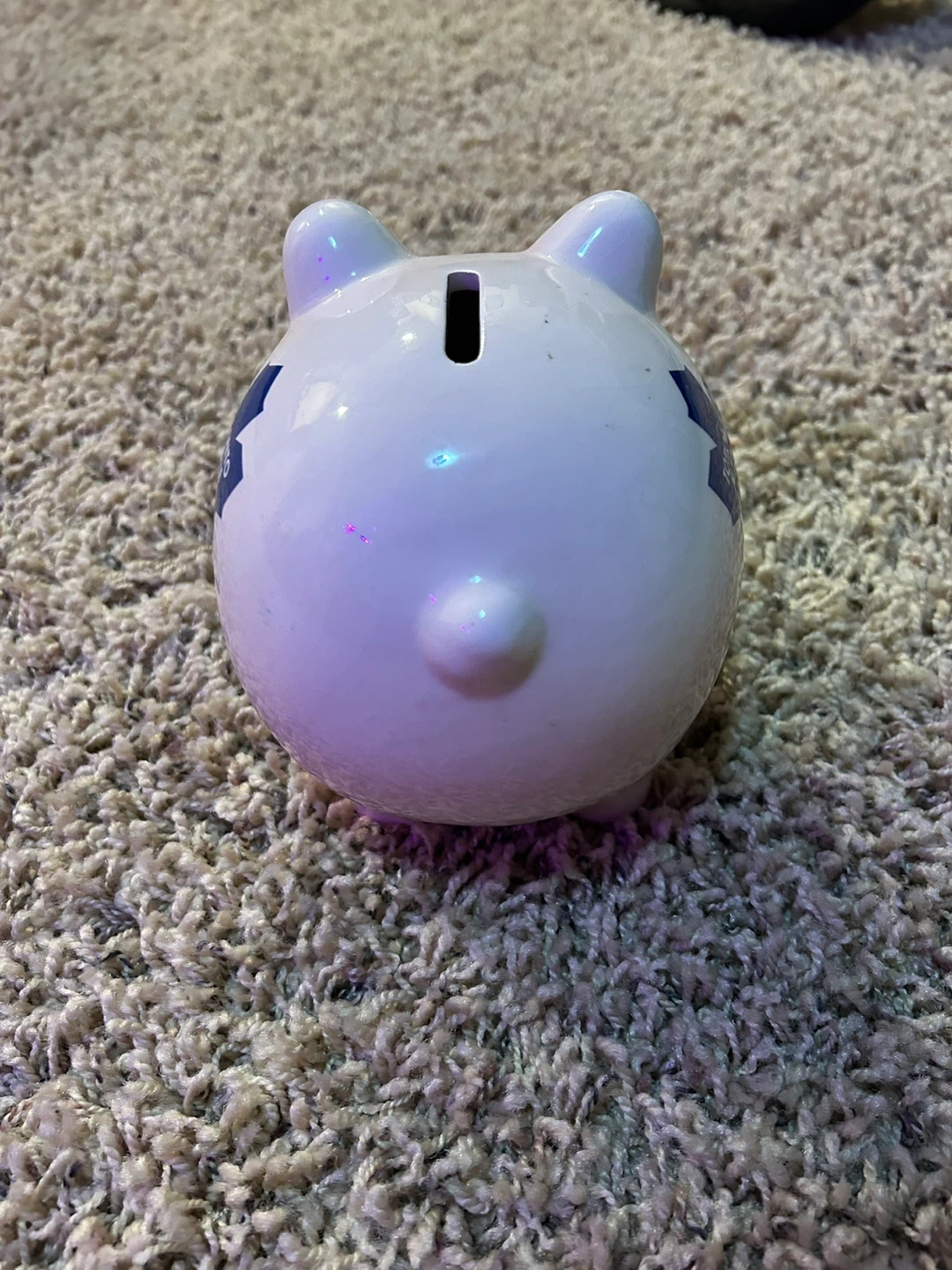 Toronto Maple Leafs Piggy Bank - photo 4